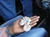 rocio_hand_1.jpg
